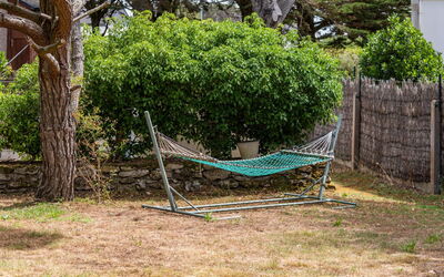 Ty Jeanne
