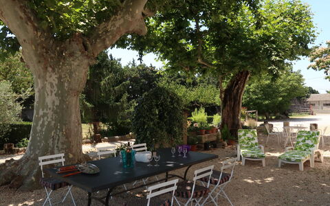 Mas de la Gourmette: Proprietà, Albero, Tavolo, Ristorante, Immobiliare, Woody Impianto, Backyard, Costruzione, Casa, Cortile
