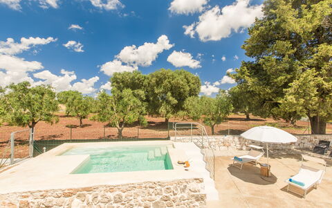 Trullo Del Pioppo Gigante: Nube, Cielo, Giorno, Proprietà, Pianta, Albero, Piscina, Shade, Acqua, Lotto