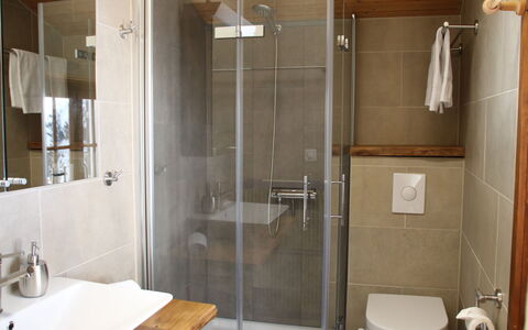 Henri: Proprietà, Idraulico Fixture, Doccia Porta, Lavello, Specchio, Rubinetto, Costruzione, Bagno, Doccia