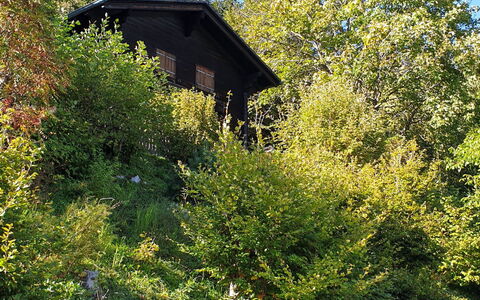 Henri: Cielo, Proprietà, Comunita 'Impianto, Pianta, Auto, Veicolo, Veicolo A Motore, Ramo, Casa