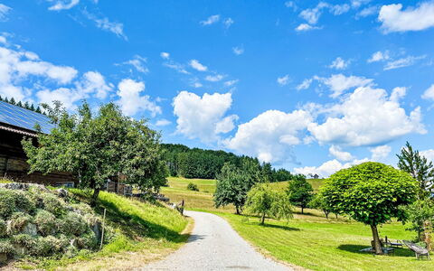 Hofstetten 650: Blu, Verde, Erba, Natura, Paesaggio Naturale, Nube, Estate, Paesaggio, Arbusto