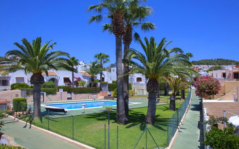 Vega: Palma, Albero, Proprietà, Ricorrere, Arecales, Immobiliare, Piscina, Woody Impianto, Resort Citta ', Vacanza