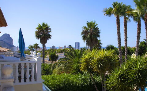 Calpe Calp 463: Albero, Vacanza, Woody Impianto, Tempo Libero, Shade, Tropici, Eco Hotel, Ricorrere