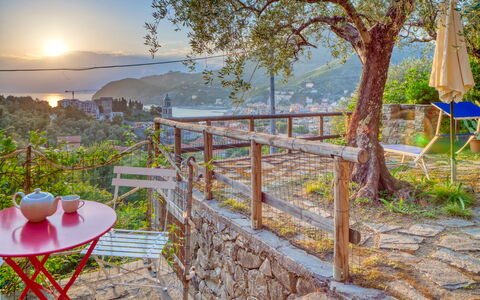 Il Frantoio Del Mesco - Levanto: Pianta, Albero, Paesaggio, Tavolo, Mobili Da Esterno, Tavolo Esterno, Sole, Tramonto, Alba