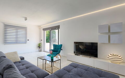 Vine: Divano, Proprietà, Mobilia, Tavolo, Finestra Cieca, Comfort, Azzurro, Finestra, Illuminazione, Legna