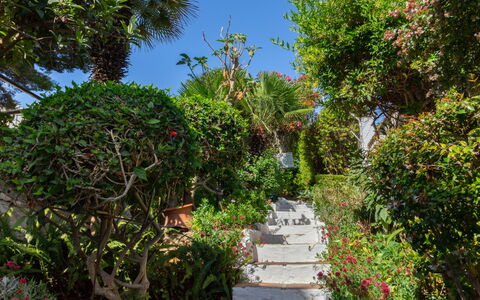La Dorada: Vegetazione, Giardino, Proprietà, Giardino Botanico, Albero, Botanica, Cielo, Immobiliare, Passerella, Pianta
