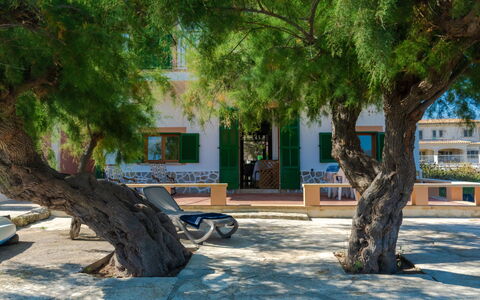 Sa Marina: Pianta, Costruzione, Finestra, Albero, Shade, Casa, Tronco, Manto Stradale, Legna, Urban Design