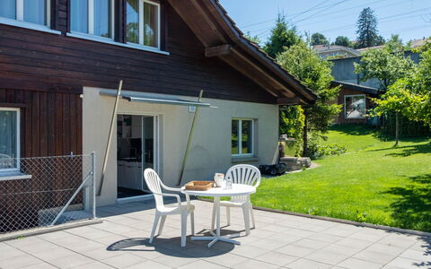 Hauswurz: Shade, Mobili Da Esterno, Sedia, Portico, Raccordo, Cortile, Latifoglie, Color Legno, Deck, Tenda