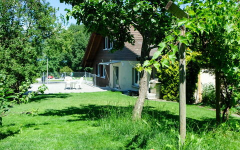Hauswurz: Arbusto, Villetta, Prato, Giardino, Lotto, Shade, Backyard, Cortile, Agriturismo