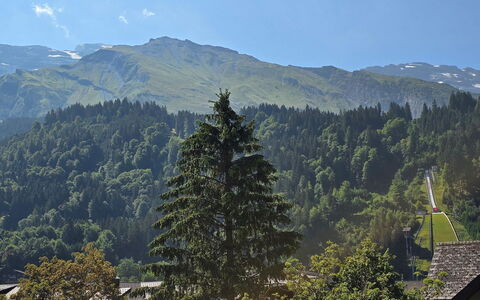 Titliszentrum 2: Montagna, Geografia Montane, Albero, Natura, Foglia, Collina, Vegetazione, Catena Montuosa, Foresta, Highland