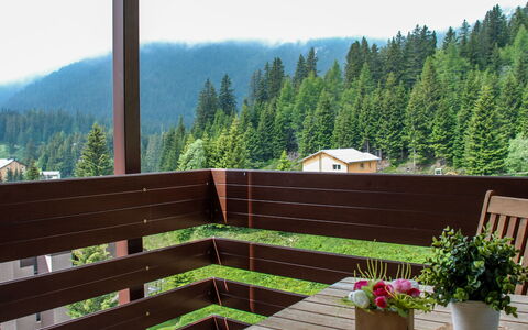 Panorama View 905: Proprietà, Deck, Albero, Casa, Parete, Montagna, Casa, Paesaggio, Camera, Tetto
