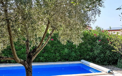 Villa Montes: Shade, Piscina, Giardino, Woody Impianto, Backyard, Landscaping, Cortile, Prato