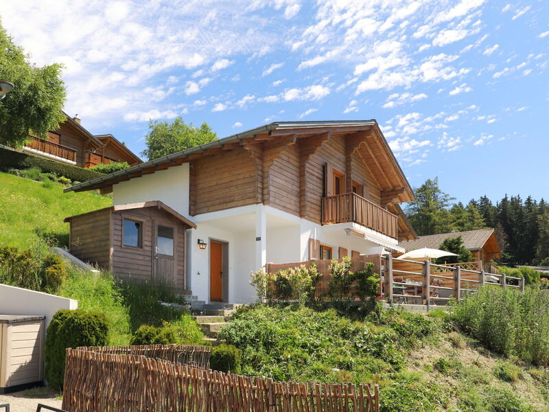 Chalet la Délège