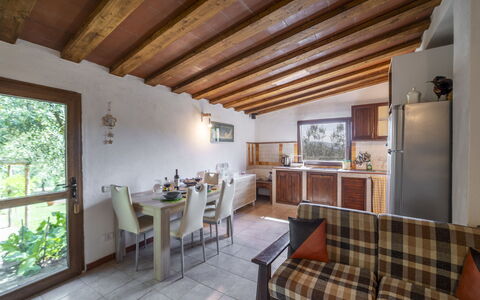 Olivo: Tavolo, Mobilia, Divano, Cornice, Legna, Soggiorno, Pianta Della Casa, Illuminazione, Sedia, Interior Design