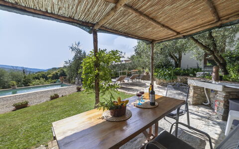 Olivo: Pianta, Proprietà, Tavolo, Vaso Di Fiori, Shade, Pianta Della Casa, Mobili Da Esterno, Interior Design, Sedia, Villetta