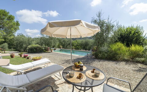 Olivo: Nube, Pianta, Cielo, Proprietà, Tavolo, Vaso Di Fiori, Mobili Da Esterno, Shade, Ombrello, Sedia