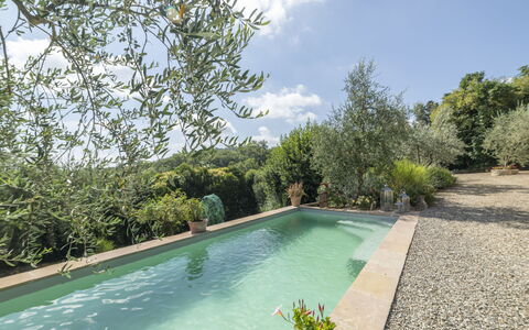 Olivo: Acqua, Pianta, Cielo, Nube, Piscina, Albero, Vegetazione, Paesaggio Naturale, Erba, Shade