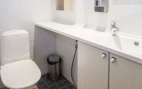 Rukatonttu D 15: Bagno, Idraulico Fixture, Toilet Seat, Parete, Pavimentazione, Lavandino Del Bagno, Pavimento, Gabinetto, Lavello, Interior Design