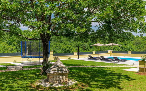 Villa Aniva: Pianta, Shade, Albero, Paesaggio Naturale, Erba, Tempo Libero, Ricreazione, Paesaggio, Pascolo, Prato