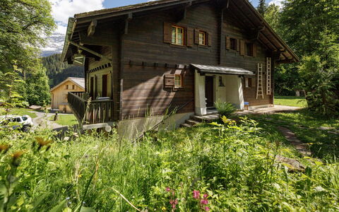 Les Diablerets 600: Costruzione, Casa, Legna, Casa, Villetta, Tetto, Area Rurale, Raccordo, Porta, Log Cabin
