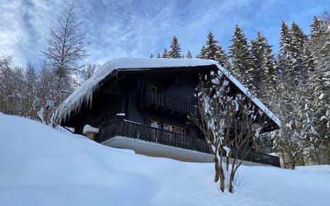Les Diablerets 600: Cielo, Costruzione, Neve, Nube, Albero, Pianta, Casa, Pendenza, Legna, Villetta