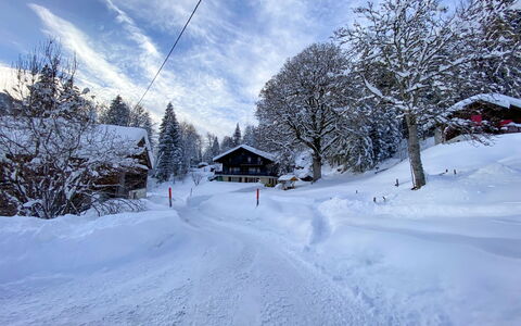 Les Diablerets 600: Nube, Cielo, Neve, Finestra, Costruzione, Pendenza, Pianta, Albero, Terreno, Casa