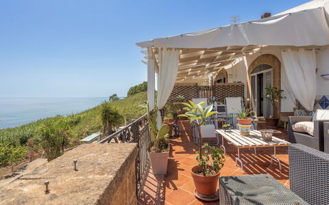 Terrazza del Sud: Cielo, Pianta, Proprietà, Vaso Di Fiori, Sedia, Shade, Costruzione, Pianta Della Casa, Mobili Da Esterno, Località Balneare