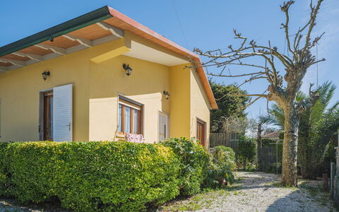 Mauro: Pianta, Cielo, Proprietà, Costruzione, Finestra, Lotto, Architettura, Shade, Albero, Parete