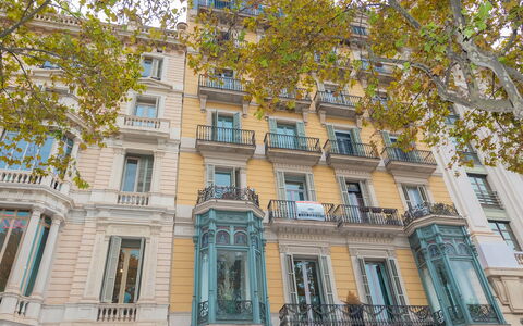 Centro: Passeig de Gracia - Casa Batllo: Costruzione, Finestra, Proprietà, Albero, Urban Design, Parete, Condominio, Facciata, Città, Simmetria