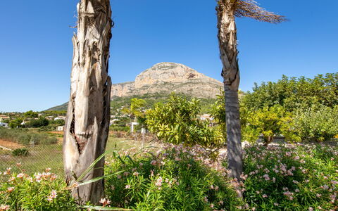 Villa Finca Labranza: Vegetazione, Albero, Natura Selvaggia, Ambiente Naturale, Riserva Naturale, Comunita 'Impianto, Pianta, Biome, Roccia, Botanica