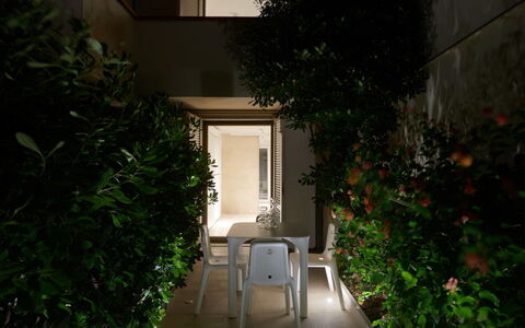 Sea Design Home: Pianta, Costruzione, Natura, Foglia, Vegetazione, Illuminazione, Architettura, Shade, Erba, Urban Design