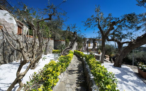 Villa Nerano: Proprietà, Albero, Immobiliare, Botanica, Pianta, Primavera, Casa, Turismo, Paesaggio, Montagna