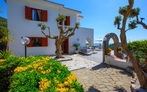 Villa Nerano: Vaso Di Fiori, Hacienda, Landscaping, Estate, Giardino, Pianta Della Casa, Villa, Cortile