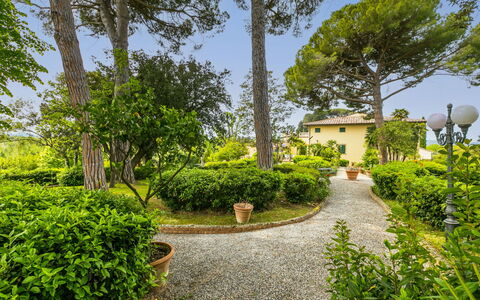 Crespina Lorenzana 100: Pianta, Cielo, Costruzione, Verde, Street Luce, Paesaggio Naturale, Albero, Manto Stradale, Lotto, Casa