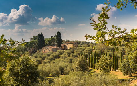 Villa Poggiospinoso: Paesaggio Naturale, Natura, Cielo, Vegetazione, Albero, Nube, Ambiente Naturale, Natura Selvaggia, Biome, Riserva Naturale