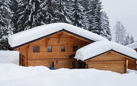 Dörfli: Neve, Costruzione, Finestra, Albero, Casa, Ramo, Legna, Pendenza, Porta, Larice