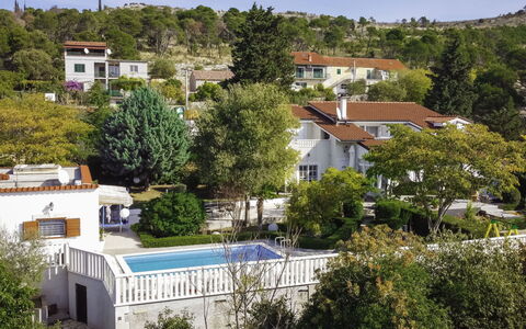Villa Bloom Garden: Cielo, Giorno, Proprietà, Costruzione, Finestra, Pianta, Albero, Natura, Vegetazione, Urban Design