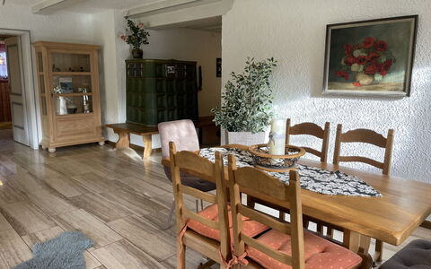Achentaler Fewo Inkl. Spabereich: Mobilia, Proprietà, Cornice, Tavolo, Pianta, Pianta Della Casa, Legna, Sedia, Fiore, Interior Design