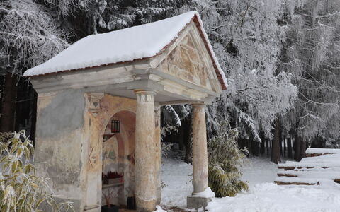 Klippitzrose: Neve, Pianta, Ramo, Ramoscello, Legna, Albero, Biome, Casa, Congelamento, Costruzione