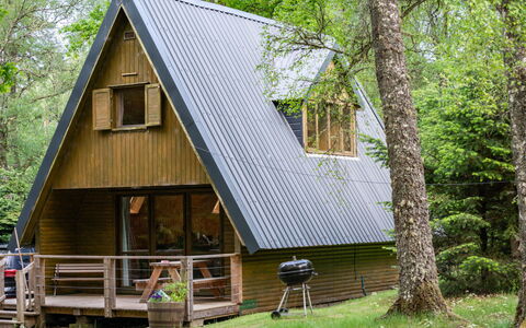 Birchwood Cottage: Pianta, Costruzione, Albero, Casa, Legna, Finestra, Architettura, Biome, Woody Impianto, Shade