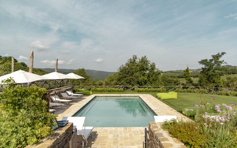 Villa Pianvecchio: Pianta, Piscina, Giardino, Materiale Composito, Arbusto, Ricorrere, Landscaping, Cortile, Piastrella
