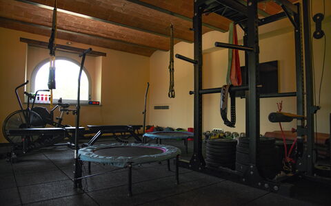 Villa Pianvecchio: Camera, Ferro, Palestra, Fascio, Idoneità Fisica, Macchina, Macchina Per Allenamento, Apparecchiatura Esercitazione