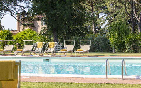 Villa Asciolo: Piscina, Mobili Da Esterno, Lettino, Ricorrere, Materiale Composito, Shade, Rettangolo, Sedia A Sdraio, Centro Ricreativo