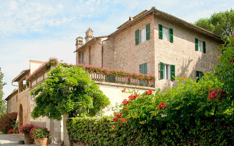 Villa Asciolo: Pianta, Arbusto, Proprietà, Casa, Costruzione, Immobiliare, Vaso Di Fiori, Zona Residenziale, Giardino
