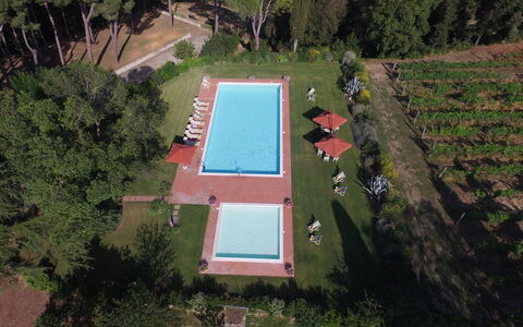 Villa Asciolo: Piscina, Giardino, Materiale Composito, Shade, Prato, Cortile, Piantagione, Backyard, Landscaping