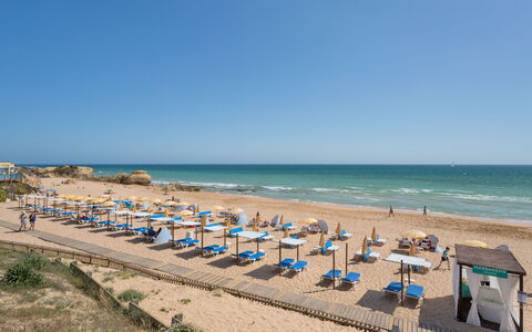 Gale 20: Acqua, Cielo, Spiaggia, Ambiente Naturale, Pianta, Costiera E Morfologie Oceanic, Tempo Libero, Orizzonte, Riva