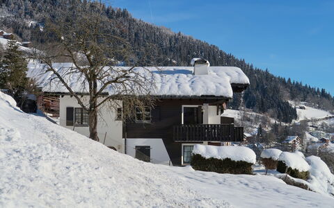Wohnung Nr.2: Cielo, Neve, Costruzione, Montagna, Finestra, Albero, Pendenza, Casa, Highland, Terreno