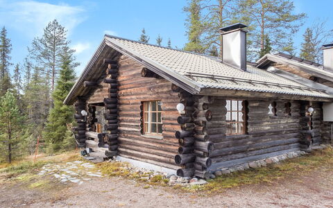 Vuosselin Kuukkeli: Legna, Villetta, Tetto, Casa, Casa, Raccordo, Log Cabin, Larice, Pendenza, Capanna