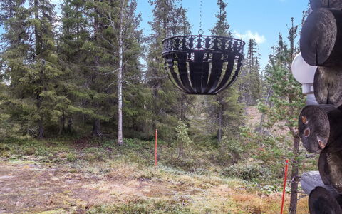 Vuosselin Kuukkeli: Albero, Ambiente Naturale, Legna, Foresta, Tronco, Woodland, Boschetto, Larice